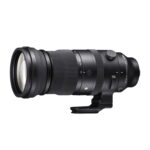 Sigma AF 150-600mm F5-6.3 DG DN OS (Sport) (L-mount)
