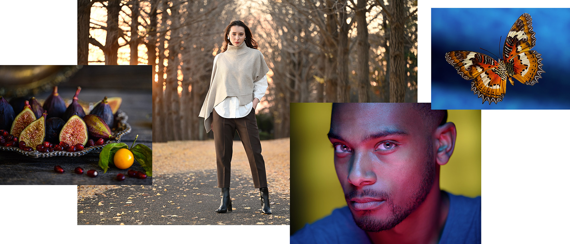 Nikon Z MC 105mm 2.8