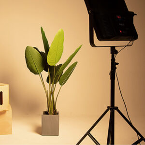 Kategorija led rasveta